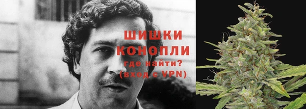 дурь Надым