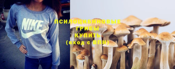МДПВ Михайловка
