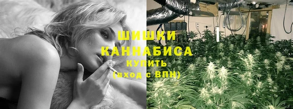 индика Гусь-Хрустальный